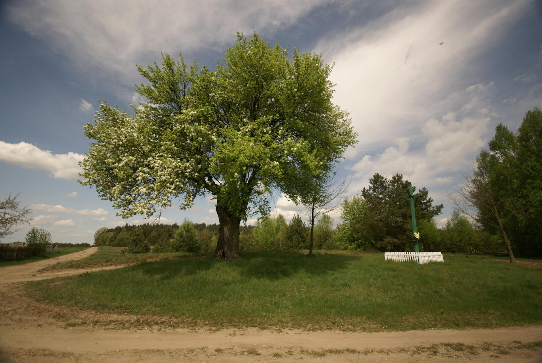 Majówka w Krasnymstawie - mieszkańcy i turyści cieszący się długim weekendem w otoczeniu zieleni i zabytków miasta.